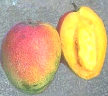 косточка манго